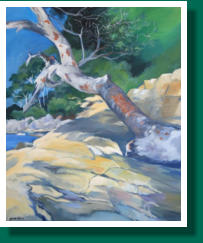 Dimensions H x L: 73 x 60