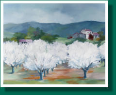 Dimensions H x L: 46 x 55