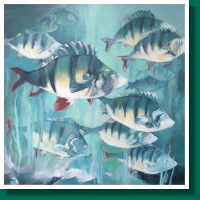 Dimensions H x L: 100 x 100