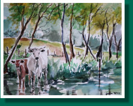 Dimensions H x L: 27 x 36