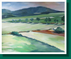 Dimensions H x L: 50 x 70