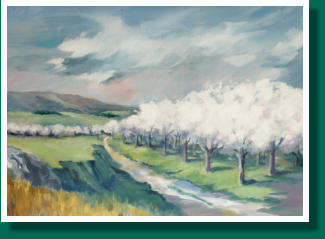 Dimensions H x L: 38 x 55